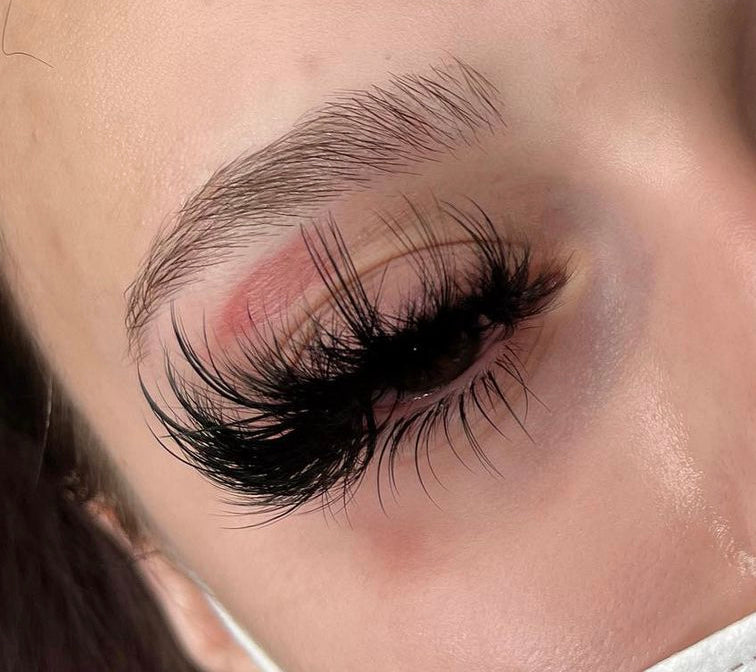 EXOTICA EXOTICA 2.0 MAP