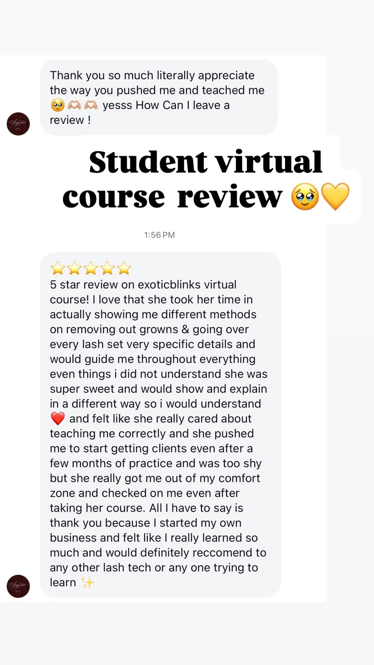 1 Day Virtual lash course