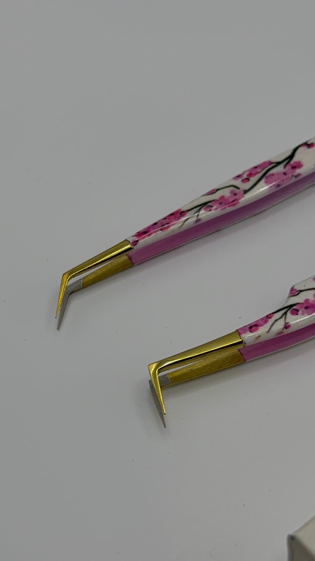 Sakura Bloom Duo 🌸