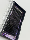 CATTIE SPIKES