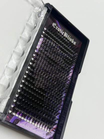CATTIE SPIKES